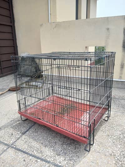 Birds cage size 1.5/1.5/2