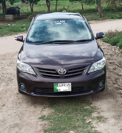 2012 Gli redwine  Urgent sail