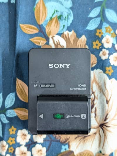 Sony Original Charger & Original Battery