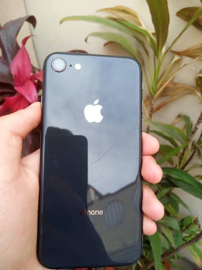 Iphone 8 full genuine only bypass