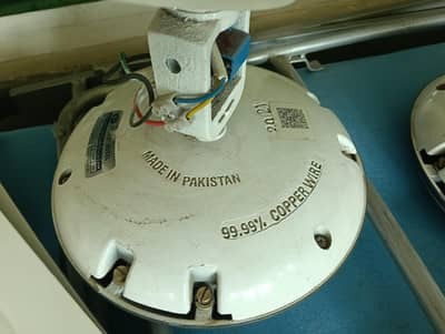 PAK FAN DELUXE MODEL