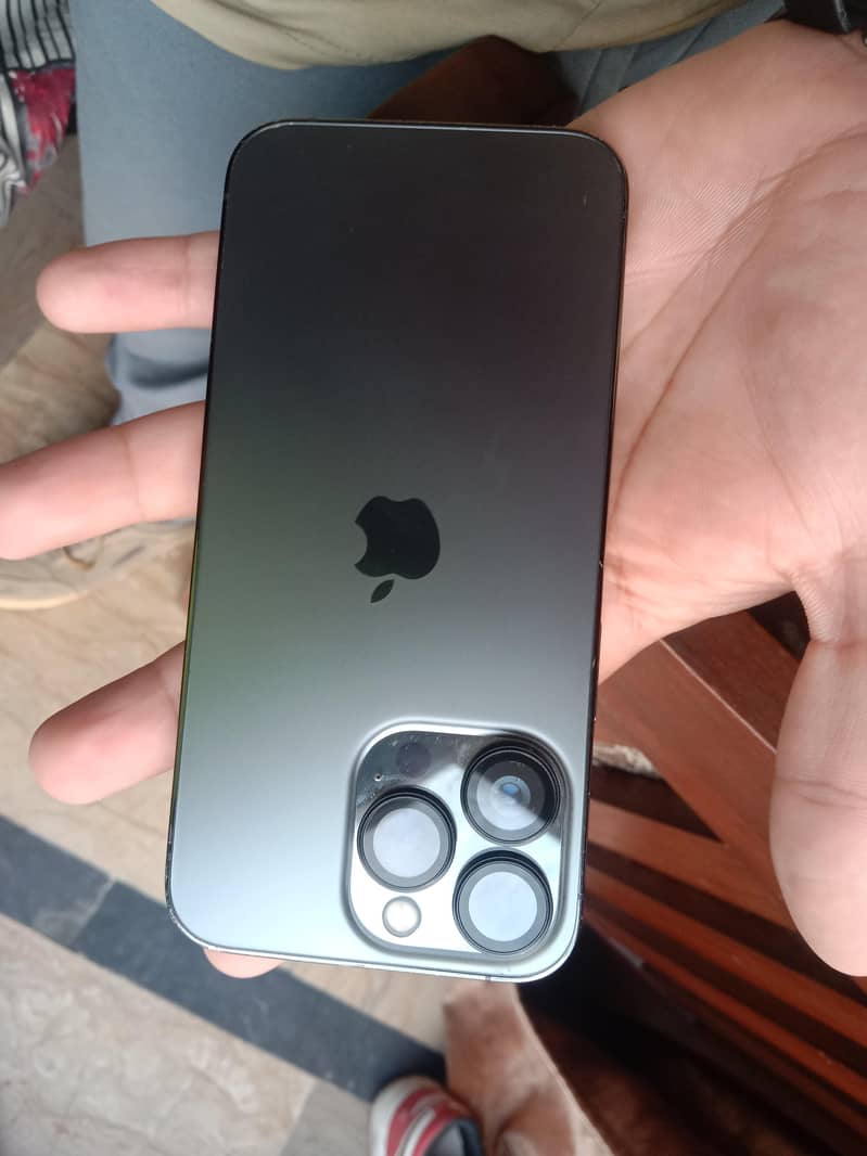 Iphone 13 pro panel damage 1