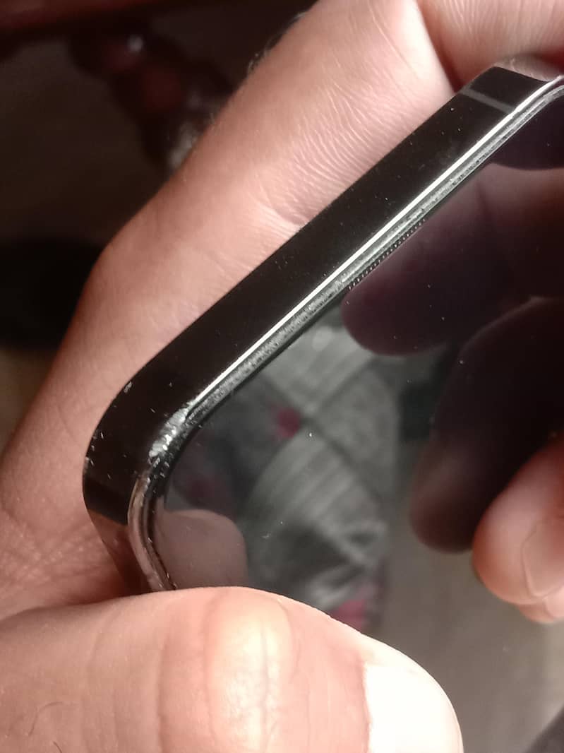 Iphone 13 pro panel damage 3
