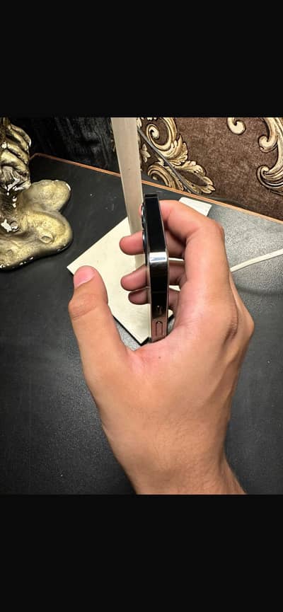 iPhone 12 Pro PTA Approved