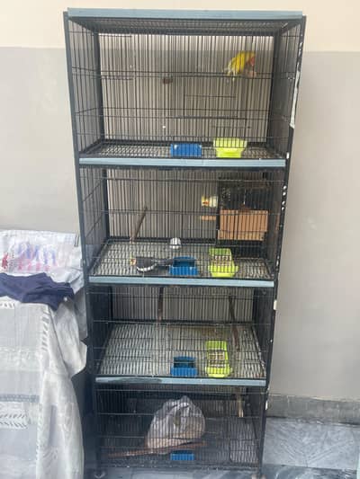 4 caban cage for sale