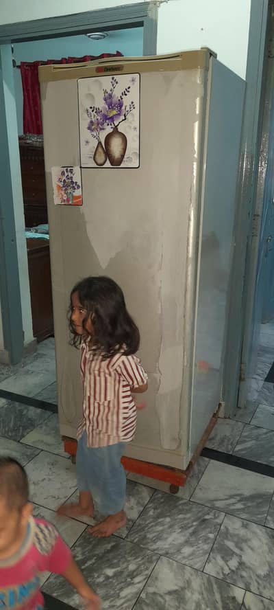 for sale dowlance fridge