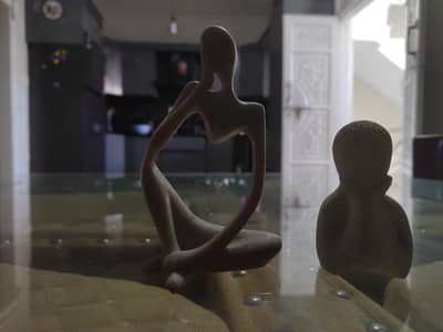 for table decoration (best)