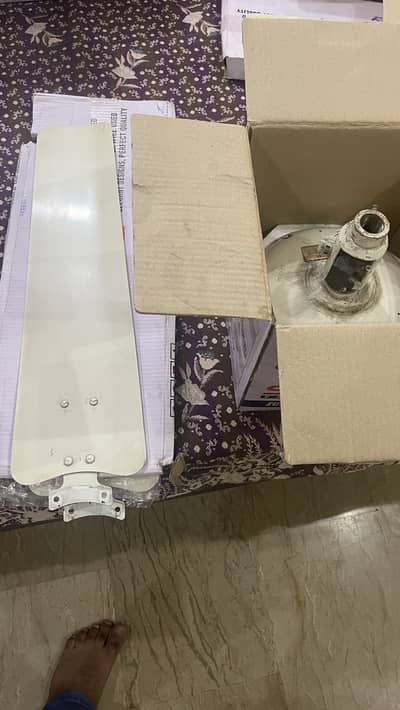 4 Royal Celling Fans