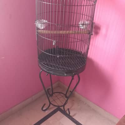 birds cage