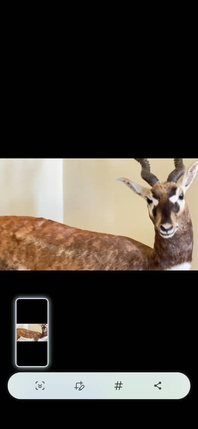 ​"Handmade Life-size Deer Showpieces for Home Decor"