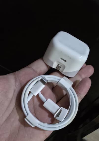 Iphone Type C to Lightning original Charger + Cable