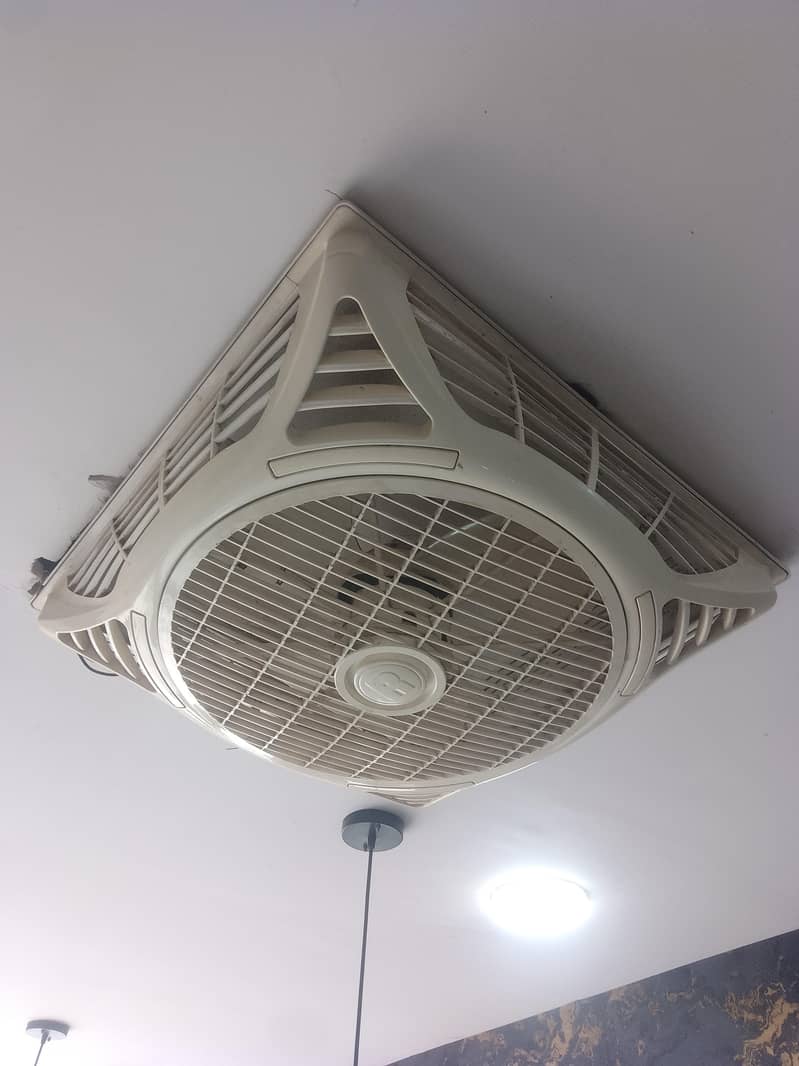 ceiling fan 1