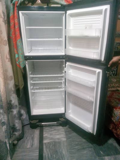 Pel Small fridge