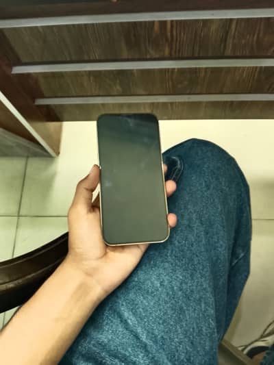 iPhone 13 Pro Max non pta factory unlock