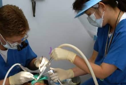 DENTAL ASSISTANT NEEDED PART TIME 3 PM - 7.30 PM