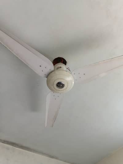 wahid fan ok working condition bhi good hai ok hai