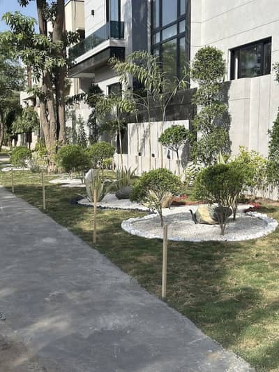 Landscaping and Lawn maintenance services