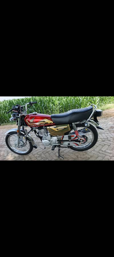 Honda CG 125 Gold Edition 2025/26