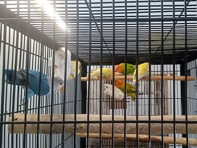 per piece 1000 total 9 . . Sara ek sath Dayna Hai