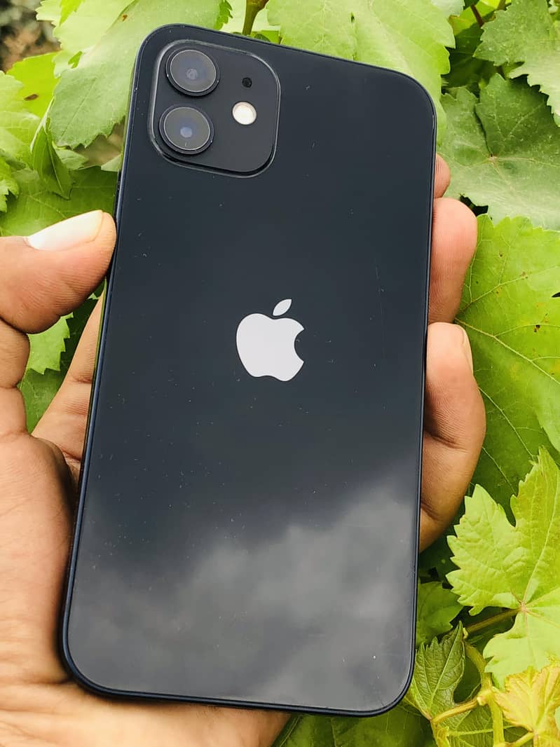 Apple iPhone 12 0