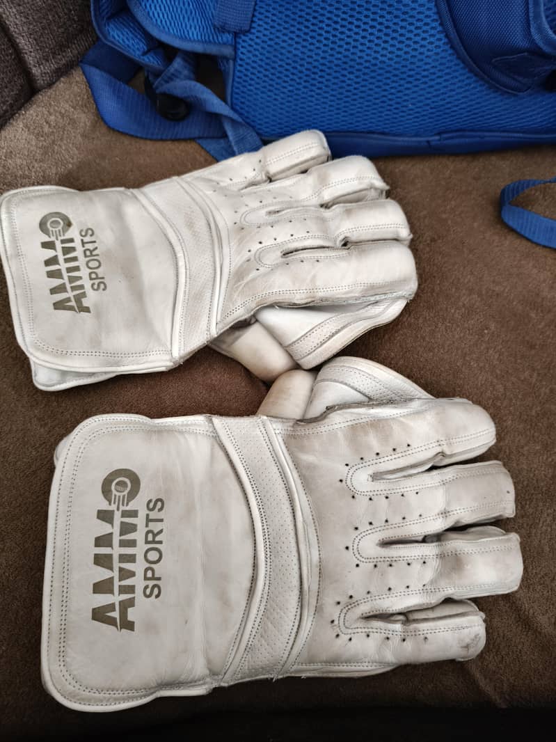 Wicket keeping Gloves 0