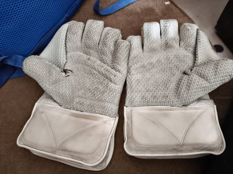 Wicket keeping Gloves 1