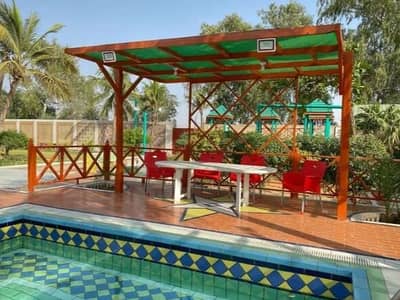 CATTLE FARM DAIRY FARM