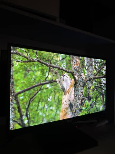 Acer Gaming Monitor 1920X1080 resolution 75 hz good condition 22 inch