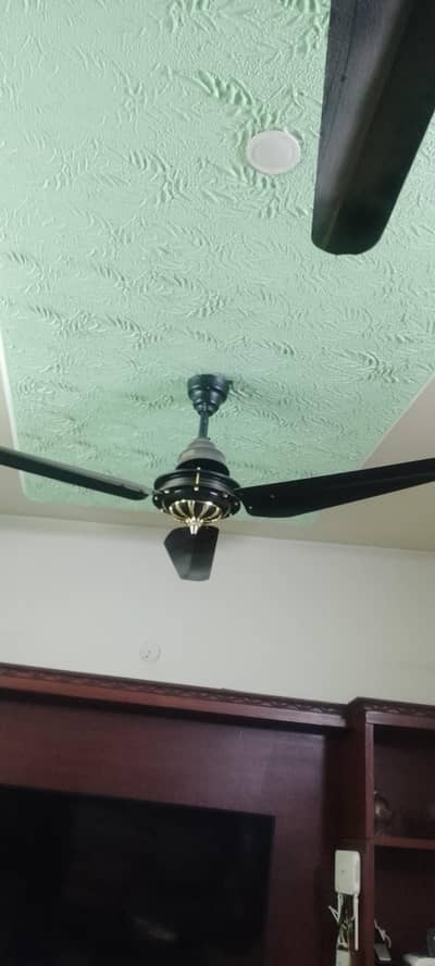 Cealing fans Pack of 5