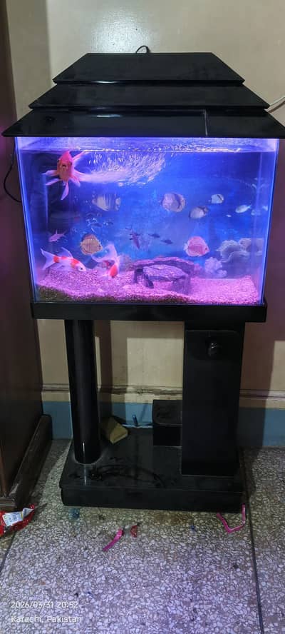 Aquarium + Fishes For Sale