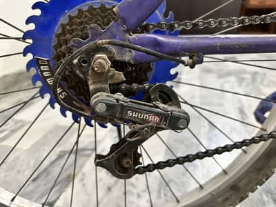 Low price best cycle