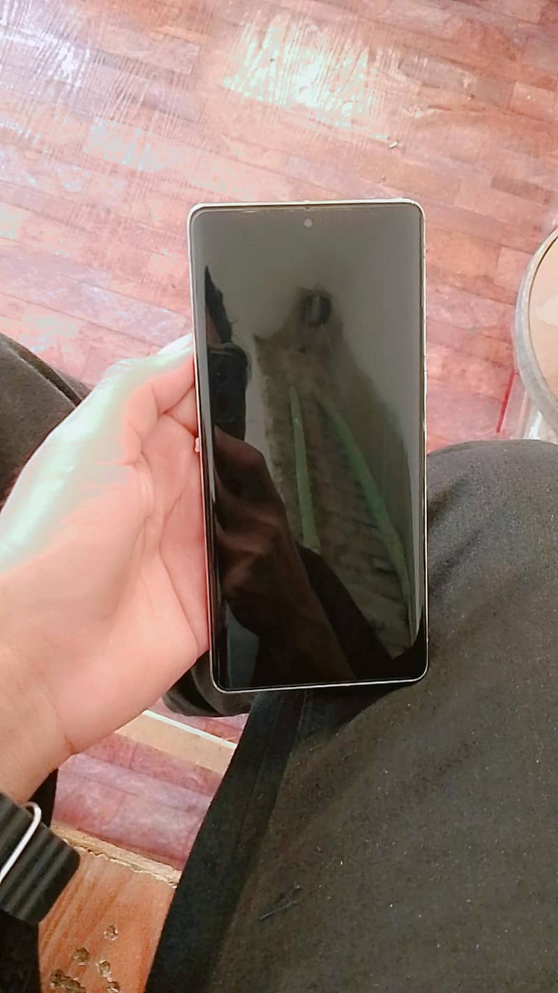 Google pixel 7 pro 0