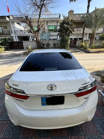 Corolla gli auto 2020