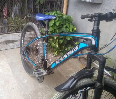 10 by 10 condition bicycle