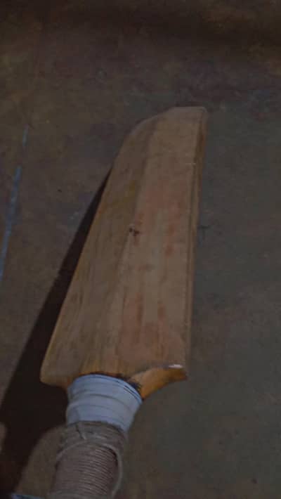 cricket bat