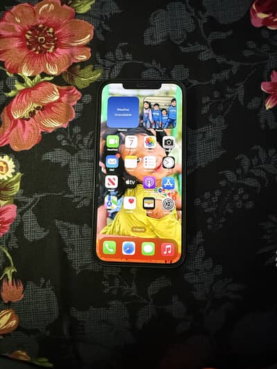 Apple iPhone 12 Pro Max