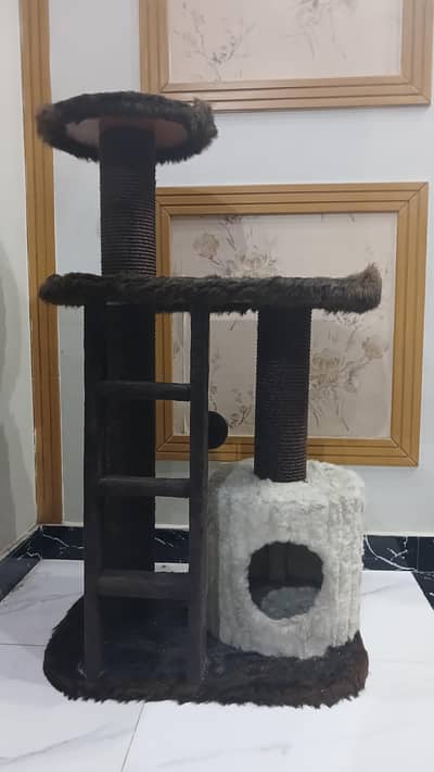 cat house