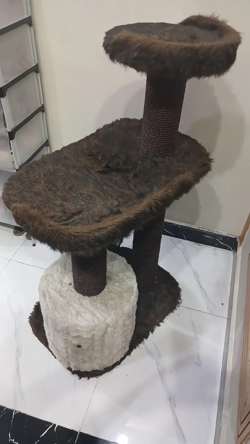 cat house — photo 2