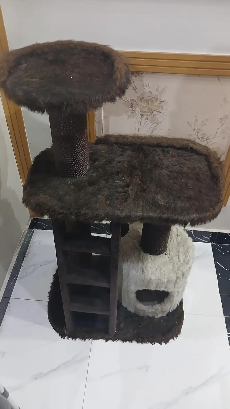 cat house — photo 3