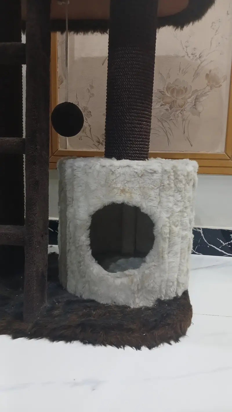 cat house — photo 4