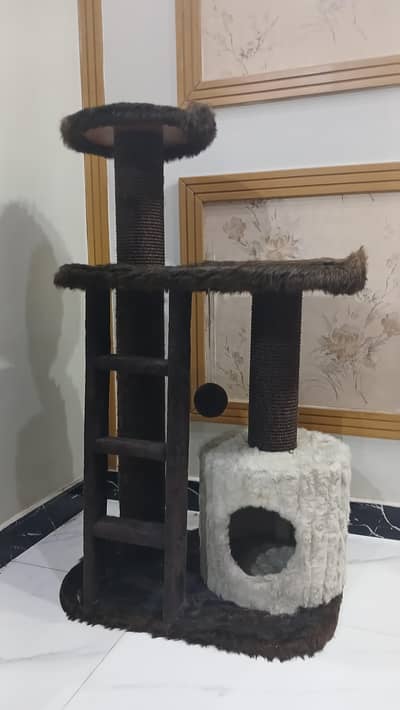 cat house