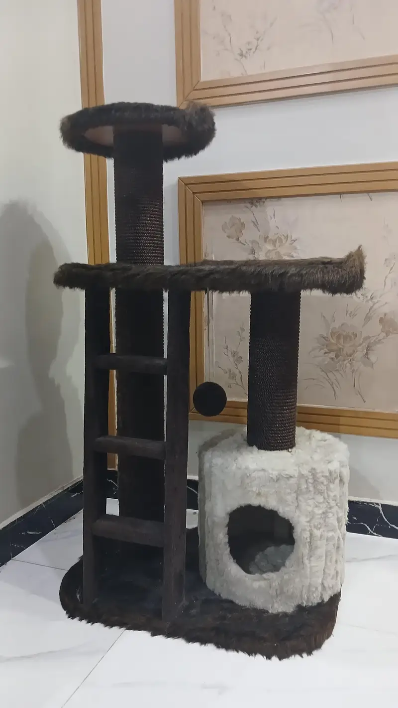 cat house — photo 5