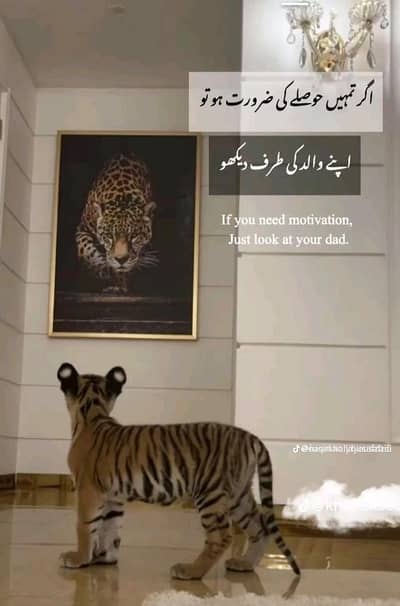 Driver Required For Indrive