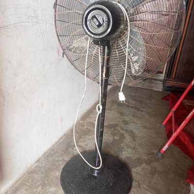 pak fan