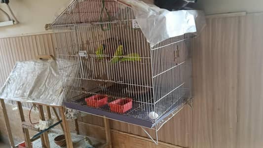 Cage for sale