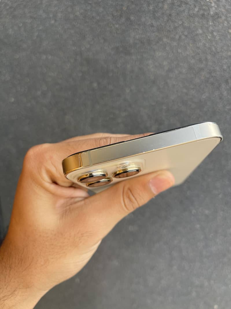 iPhone 13 pro max 1