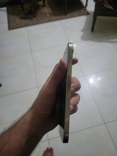 Iphone 12 pro max pta official approved