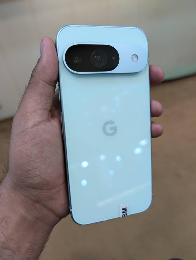 Google Pixel 9 1