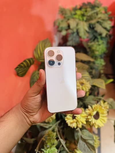 iPhone 14 Pro 256 gb PTA approved