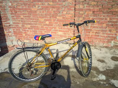 Only 3 Month use 10/10 condition New cycle